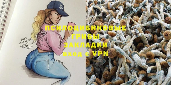 гидропоника Майский