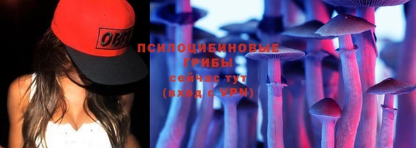прущие грибы Алексеевка