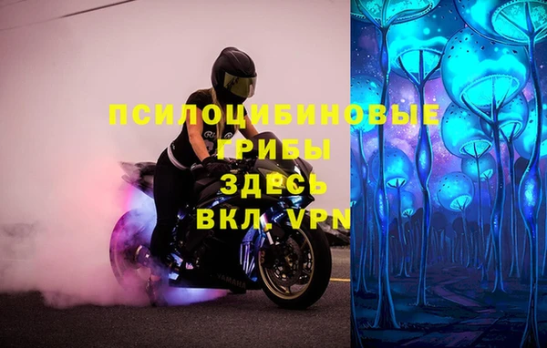 прущие грибы Алексеевка