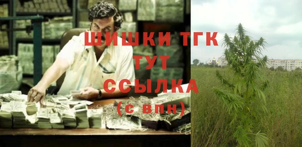 прущие грибы Алексеевка