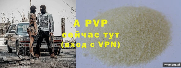 твердый Алексин