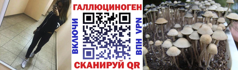 Галлюциногенные грибы Cubensis  MEGA сайт  Камышин 