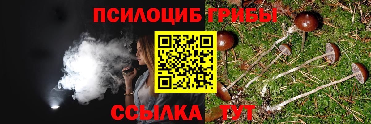 Псилоцибиновые грибы Cubensis  Вход с VPN  Галлюциногенные грибы мицелий  купить закладку  Камышин 