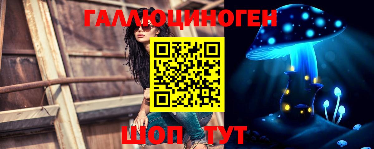 Канабис Камышин